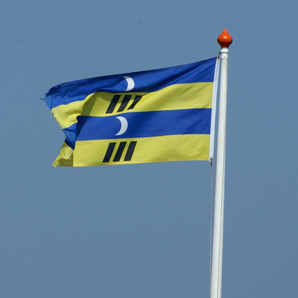 Vlag